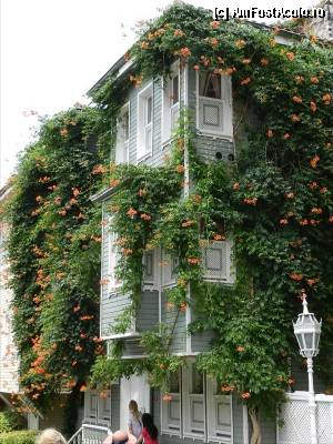 [P38] Casa in stil otoman in spatele Sf. Sofia.  » foto by TraianS
 - 
<span class="allrVoted glyphicon glyphicon-heart hidden" id="av389438"></span>
<a class="m-l-10 hidden" id="sv389438" onclick="voting_Foto_DelVot(,389438,14995)" role="button">șterge vot <span class="glyphicon glyphicon-remove"></span></a>
<a id="v9389438" class=" c-red"  onclick="voting_Foto_SetVot(389438)" role="button"><span class="glyphicon glyphicon-heart-empty"></span> <b>LIKE</b> = Votează poza</a> <img class="hidden"  id="f389438W9" src="/imagini/loader.gif" border="0" /><span class="AjErrMes hidden" id="e389438ErM"></span>