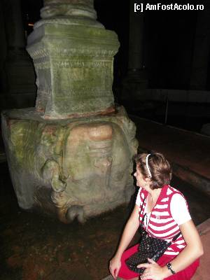 [P08] Cap de Meduza intors in Palatul Scufundat.  » foto by TraianS
 - 
<span class="allrVoted glyphicon glyphicon-heart hidden" id="av389394"></span>
<a class="m-l-10 hidden" id="sv389394" onclick="voting_Foto_DelVot(,389394,14995)" role="button">șterge vot <span class="glyphicon glyphicon-remove"></span></a>
<a id="v9389394" class=" c-red"  onclick="voting_Foto_SetVot(389394)" role="button"><span class="glyphicon glyphicon-heart-empty"></span> <b>LIKE</b> = Votează poza</a> <img class="hidden"  id="f389394W9" src="/imagini/loader.gif" border="0" /><span class="AjErrMes hidden" id="e389394ErM"></span>