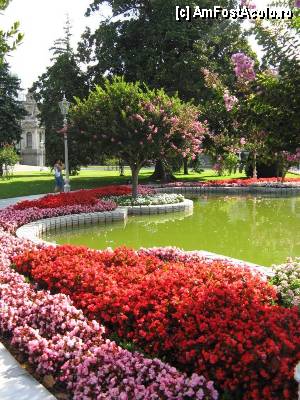 [P11] Frumoasa gradina a Palatului Dolmabahce.  » foto by gettutza
 - 
<span class="allrVoted glyphicon glyphicon-heart hidden" id="av380511"></span>
<a class="m-l-10 hidden" id="sv380511" onclick="voting_Foto_DelVot(,380511,14995)" role="button">șterge vot <span class="glyphicon glyphicon-remove"></span></a>
<a id="v9380511" class=" c-red"  onclick="voting_Foto_SetVot(380511)" role="button"><span class="glyphicon glyphicon-heart-empty"></span> <b>LIKE</b> = Votează poza</a> <img class="hidden"  id="f380511W9" src="/imagini/loader.gif" border="0" /><span class="AjErrMes hidden" id="e380511ErM"></span>