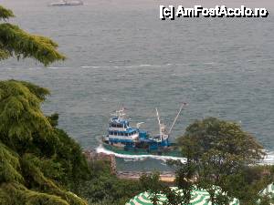 [P19] Un vaporas pe Bosfor » foto by cdiana
 - 
<span class="allrVoted glyphicon glyphicon-heart hidden" id="av434710"></span>
<a class="m-l-10 hidden" id="sv434710" onclick="voting_Foto_DelVot(,434710,14995)" role="button">șterge vot <span class="glyphicon glyphicon-remove"></span></a>
<a id="v9434710" class=" c-red"  onclick="voting_Foto_SetVot(434710)" role="button"><span class="glyphicon glyphicon-heart-empty"></span> <b>LIKE</b> = Votează poza</a> <img class="hidden"  id="f434710W9" src="/imagini/loader.gif" border="0" /><span class="AjErrMes hidden" id="e434710ErM"></span>