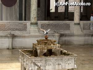 [P26] O alta fantana arteziana pe care tocmai se asezase un porumbel » foto by cdiana
 - 
<span class="allrVoted glyphicon glyphicon-heart hidden" id="av434718"></span>
<a class="m-l-10 hidden" id="sv434718" onclick="voting_Foto_DelVot(,434718,14995)" role="button">șterge vot <span class="glyphicon glyphicon-remove"></span></a>
<a id="v9434718" class=" c-red"  onclick="voting_Foto_SetVot(434718)" role="button"><span class="glyphicon glyphicon-heart-empty"></span> <b>LIKE</b> = Votează poza</a> <img class="hidden"  id="f434718W9" src="/imagini/loader.gif" border="0" /><span class="AjErrMes hidden" id="e434718ErM"></span>