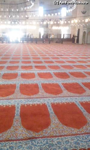 [P09] Covorul persan din moschee are imprimate locurile fiecarui musulman pentru rugaciune.  » foto by Lisa
 - 
<span class="allrVoted glyphicon glyphicon-heart hidden" id="av538503"></span>
<a class="m-l-10 hidden" id="sv538503" onclick="voting_Foto_DelVot(,538503,14995)" role="button">șterge vot <span class="glyphicon glyphicon-remove"></span></a>
<a id="v9538503" class=" c-red"  onclick="voting_Foto_SetVot(538503)" role="button"><span class="glyphicon glyphicon-heart-empty"></span> <b>LIKE</b> = Votează poza</a> <img class="hidden"  id="f538503W9" src="/imagini/loader.gif" border="0" /><span class="AjErrMes hidden" id="e538503ErM"></span>
