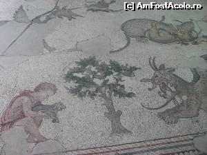 [P04] fara comentarii » foto by danyo
 - 
<span class="allrVoted glyphicon glyphicon-heart hidden" id="av566046"></span>
<a class="m-l-10 hidden" id="sv566046" onclick="voting_Foto_DelVot(,566046,14995)" role="button">șterge vot <span class="glyphicon glyphicon-remove"></span></a>
<a id="v9566046" class=" c-red"  onclick="voting_Foto_SetVot(566046)" role="button"><span class="glyphicon glyphicon-heart-empty"></span> <b>LIKE</b> = Votează poza</a> <img class="hidden"  id="f566046W9" src="/imagini/loader.gif" border="0" /><span class="AjErrMes hidden" id="e566046ErM"></span>