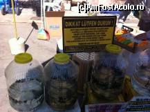 [P14] lipitori- exterior Bazar condimente » foto by andraz
 - 
<span class="allrVoted glyphicon glyphicon-heart hidden" id="av358752"></span>
<a class="m-l-10 hidden" id="sv358752" onclick="voting_Foto_DelVot(,358752,14995)" role="button">șterge vot <span class="glyphicon glyphicon-remove"></span></a>
<a id="v9358752" class=" c-red"  onclick="voting_Foto_SetVot(358752)" role="button"><span class="glyphicon glyphicon-heart-empty"></span> <b>LIKE</b> = Votează poza</a> <img class="hidden"  id="f358752W9" src="/imagini/loader.gif" border="0" /><span class="AjErrMes hidden" id="e358752ErM"></span>