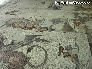 [P06] Muzeul mozaicurilor » foto by Carmen Ion
 - 
<span class="allrVoted glyphicon glyphicon-heart hidden" id="av565792"></span>
<a class="m-l-10 hidden" id="sv565792" onclick="voting_Foto_DelVot(,565792,14995)" role="button">șterge vot <span class="glyphicon glyphicon-remove"></span></a>
<a id="v9565792" class=" c-red"  onclick="voting_Foto_SetVot(565792)" role="button"><span class="glyphicon glyphicon-heart-empty"></span> <b>LIKE</b> = Votează poza</a> <img class="hidden"  id="f565792W9" src="/imagini/loader.gif" border="0" /><span class="AjErrMes hidden" id="e565792ErM"></span>