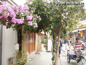 [P12] 'transportul local' » foto by aruapap*
 - 
<span class="allrVoted glyphicon glyphicon-heart hidden" id="av564982"></span>
<a class="m-l-10 hidden" id="sv564982" onclick="voting_Foto_DelVot(,564982,14995)" role="button">șterge vot <span class="glyphicon glyphicon-remove"></span></a>
<a id="v9564982" class=" c-red"  onclick="voting_Foto_SetVot(564982)" role="button"><span class="glyphicon glyphicon-heart-empty"></span> <b>LIKE</b> = Votează poza</a> <img class="hidden"  id="f564982W9" src="/imagini/loader.gif" border="0" /><span class="AjErrMes hidden" id="e564982ErM"></span>