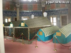 [P22]  -- <small>// FĂRĂ DESCRIERE</small> » foto by aruapap*
 - 
<span class="allrVoted glyphicon glyphicon-heart hidden" id="av564992"></span>
<a class="m-l-10 hidden" id="sv564992" onclick="voting_Foto_DelVot(,564992,14995)" role="button">șterge vot <span class="glyphicon glyphicon-remove"></span></a>
<a id="v9564992" class=" c-red"  onclick="voting_Foto_SetVot(564992)" role="button"><span class="glyphicon glyphicon-heart-empty"></span> <b>LIKE</b> = Votează poza</a> <img class="hidden"  id="f564992W9" src="/imagini/loader.gif" border="0" /><span class="AjErrMes hidden" id="e564992ErM"></span>