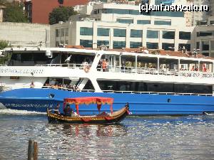 [P05]  -- <small>// FĂRĂ DESCRIERE</small> » foto by aruapap*
 - 
<span class="allrVoted glyphicon glyphicon-heart hidden" id="av564975"></span>
<a class="m-l-10 hidden" id="sv564975" onclick="voting_Foto_DelVot(,564975,14995)" role="button">șterge vot <span class="glyphicon glyphicon-remove"></span></a>
<a id="v9564975" class=" c-red"  onclick="voting_Foto_SetVot(564975)" role="button"><span class="glyphicon glyphicon-heart-empty"></span> <b>LIKE</b> = Votează poza</a> <img class="hidden"  id="f564975W9" src="/imagini/loader.gif" border="0" /><span class="AjErrMes hidden" id="e564975ErM"></span>