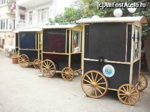 [P07] Pe insula » foto by aruapap*
 - 
<span class="allrVoted glyphicon glyphicon-heart hidden" id="av564977"></span>
<a class="m-l-10 hidden" id="sv564977" onclick="voting_Foto_DelVot(,564977,14995)" role="button">șterge vot <span class="glyphicon glyphicon-remove"></span></a>
<a id="v9564977" class=" c-red"  onclick="voting_Foto_SetVot(564977)" role="button"><span class="glyphicon glyphicon-heart-empty"></span> <b>LIKE</b> = Votează poza</a> <img class="hidden"  id="f564977W9" src="/imagini/loader.gif" border="0" /><span class="AjErrMes hidden" id="e564977ErM"></span>