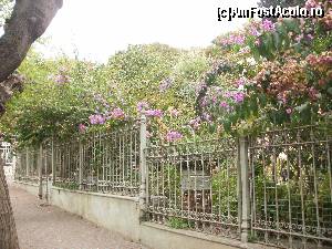 [P09]  -- <small>// FĂRĂ DESCRIERE</small> » foto by aruapap*
 - 
<span class="allrVoted glyphicon glyphicon-heart hidden" id="av564979"></span>
<a class="m-l-10 hidden" id="sv564979" onclick="voting_Foto_DelVot(,564979,14995)" role="button">șterge vot <span class="glyphicon glyphicon-remove"></span></a>
<a id="v9564979" class=" c-red"  onclick="voting_Foto_SetVot(564979)" role="button"><span class="glyphicon glyphicon-heart-empty"></span> <b>LIKE</b> = Votează poza</a> <img class="hidden"  id="f564979W9" src="/imagini/loader.gif" border="0" /><span class="AjErrMes hidden" id="e564979ErM"></span>