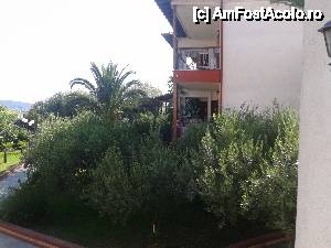 [P86] Hotel Pontos - Grădina sa de vis, un Paradis aproape de noi...  » foto by Lyssys
 - 
<span class="allrVoted glyphicon glyphicon-heart hidden" id="av455891"></span>
<a class="m-l-10 hidden" id="sv455891" onclick="voting_Foto_DelVot(,455891,15066)" role="button">șterge vot <span class="glyphicon glyphicon-remove"></span></a>
<a id="v9455891" class=" c-red"  onclick="voting_Foto_SetVot(455891)" role="button"><span class="glyphicon glyphicon-heart-empty"></span> <b>LIKE</b> = Votează poza</a> <img class="hidden"  id="f455891W9" src="/imagini/loader.gif" border="0" /><span class="AjErrMes hidden" id="e455891ErM"></span>