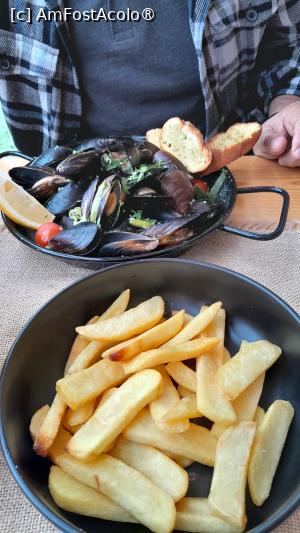 [P36] scoici în sos de vin si cartofii cu gust si miros naspa » foto by Yolanda
 - 
<span class="allrVoted glyphicon glyphicon-heart hidden" id="av1467698"></span>
<a class="m-l-10 hidden" id="sv1467698" onclick="voting_Foto_DelVot(,1467698,15352)" role="button">șterge vot <span class="glyphicon glyphicon-remove"></span></a>
<a id="v91467698" class=" c-red"  onclick="voting_Foto_SetVot(1467698)" role="button"><span class="glyphicon glyphicon-heart-empty"></span> <b>LIKE</b> = Votează poza</a> <img class="hidden"  id="f1467698W9" src="/imagini/loader.gif" border="0" /><span class="AjErrMes hidden" id="e1467698ErM"></span>