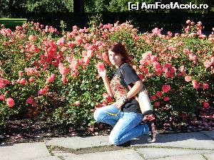 [P25] Printre flori in parcul Vigeland...  » foto by ileanaxperta*
 - 
<span class="allrVoted glyphicon glyphicon-heart hidden" id="av595358"></span>
<a class="m-l-10 hidden" id="sv595358" onclick="voting_Foto_DelVot(,595358,15474)" role="button">șterge vot <span class="glyphicon glyphicon-remove"></span></a>
<a id="v9595358" class=" c-red"  onclick="voting_Foto_SetVot(595358)" role="button"><span class="glyphicon glyphicon-heart-empty"></span> <b>LIKE</b> = Votează poza</a> <img class="hidden"  id="f595358W9" src="/imagini/loader.gif" border="0" /><span class="AjErrMes hidden" id="e595358ErM"></span>
