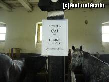 [P09]  -- <small>// FĂRĂ DESCRIERE</small> » foto by Paty
 - 
<span class="allrVoted glyphicon glyphicon-heart hidden" id="av157996"></span>
<a class="m-l-10 hidden" id="sv157996" onclick="voting_Foto_DelVot(,157996,15708)" role="button">șterge vot <span class="glyphicon glyphicon-remove"></span></a>
<a id="v9157996" class=" c-red"  onclick="voting_Foto_SetVot(157996)" role="button"><span class="glyphicon glyphicon-heart-empty"></span> <b>LIKE</b> = Votează poza</a> <img class="hidden"  id="f157996W9" src="/imagini/loader.gif" border="0" /><span class="AjErrMes hidden" id="e157996ErM"></span>