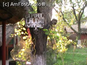 [P02] La pomul laudat - Pensiunea Vital- foto 2008 » foto by Gabone2014
 - 
<span class="allrVoted glyphicon glyphicon-heart hidden" id="av956813"></span>
<a class="m-l-10 hidden" id="sv956813" onclick="voting_Foto_DelVot(,956813,15752)" role="button">șterge vot <span class="glyphicon glyphicon-remove"></span></a>
<a id="v9956813" class=" c-red"  onclick="voting_Foto_SetVot(956813)" role="button"><span class="glyphicon glyphicon-heart-empty"></span> <b>LIKE</b> = Votează poza</a> <img class="hidden"  id="f956813W9" src="/imagini/loader.gif" border="0" /><span class="AjErrMes hidden" id="e956813ErM"></span>