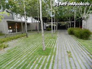 [P01] Receptia...  » foto by allina
 - 
<span class="allrVoted glyphicon glyphicon-heart hidden" id="av484140"></span>
<a class="m-l-10 hidden" id="sv484140" onclick="voting_Foto_DelVot(,484140,15772)" role="button">șterge vot <span class="glyphicon glyphicon-remove"></span></a>
<a id="v9484140" class=" c-red"  onclick="voting_Foto_SetVot(484140)" role="button"><span class="glyphicon glyphicon-heart-empty"></span> <b>LIKE</b> = Votează poza</a> <img class="hidden"  id="f484140W9" src="/imagini/loader.gif" border="0" /><span class="AjErrMes hidden" id="e484140ErM"></span>