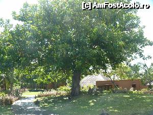 [P12] in 'gradina' hotelului.  » foto by danadineata
 - 
<span class="allrVoted glyphicon glyphicon-heart hidden" id="av485989"></span>
<a class="m-l-10 hidden" id="sv485989" onclick="voting_Foto_DelVot(,485989,15822)" role="button">șterge vot <span class="glyphicon glyphicon-remove"></span></a>
<a id="v9485989" class=" c-red"  onclick="voting_Foto_SetVot(485989)" role="button"><span class="glyphicon glyphicon-heart-empty"></span> <b>LIKE</b> = Votează poza</a> <img class="hidden"  id="f485989W9" src="/imagini/loader.gif" border="0" /><span class="AjErrMes hidden" id="e485989ErM"></span>