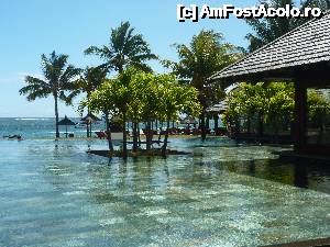 [P14]  -- <small>// FĂRĂ DESCRIERE</small> » foto by danadineata
 - 
<span class="allrVoted glyphicon glyphicon-heart hidden" id="av485992"></span>
<a class="m-l-10 hidden" id="sv485992" onclick="voting_Foto_DelVot(,485992,15822)" role="button">șterge vot <span class="glyphicon glyphicon-remove"></span></a>
<a id="v9485992" class=" c-red"  onclick="voting_Foto_SetVot(485992)" role="button"><span class="glyphicon glyphicon-heart-empty"></span> <b>LIKE</b> = Votează poza</a> <img class="hidden"  id="f485992W9" src="/imagini/loader.gif" border="0" /><span class="AjErrMes hidden" id="e485992ErM"></span>