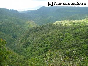 [P25]  -- <small>// FĂRĂ DESCRIERE</small> » foto by danadineata
 - 
<span class="allrVoted glyphicon glyphicon-heart hidden" id="av486006"></span>
<a class="m-l-10 hidden" id="sv486006" onclick="voting_Foto_DelVot(,486006,15822)" role="button">șterge vot <span class="glyphicon glyphicon-remove"></span></a>
<a id="v9486006" class=" c-red"  onclick="voting_Foto_SetVot(486006)" role="button"><span class="glyphicon glyphicon-heart-empty"></span> <b>LIKE</b> = Votează poza</a> <img class="hidden"  id="f486006W9" src="/imagini/loader.gif" border="0" /><span class="AjErrMes hidden" id="e486006ErM"></span>