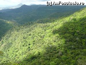 [P26]  -- <small>// FĂRĂ DESCRIERE</small> » foto by danadineata
 - 
<span class="allrVoted glyphicon glyphicon-heart hidden" id="av486007"></span>
<a class="m-l-10 hidden" id="sv486007" onclick="voting_Foto_DelVot(,486007,15822)" role="button">șterge vot <span class="glyphicon glyphicon-remove"></span></a>
<a id="v9486007" class=" c-red"  onclick="voting_Foto_SetVot(486007)" role="button"><span class="glyphicon glyphicon-heart-empty"></span> <b>LIKE</b> = Votează poza</a> <img class="hidden"  id="f486007W9" src="/imagini/loader.gif" border="0" /><span class="AjErrMes hidden" id="e486007ErM"></span>