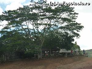 [P31]  -- <small>// FĂRĂ DESCRIERE</small> » foto by danadineata
 - 
<span class="allrVoted glyphicon glyphicon-heart hidden" id="av486014"></span>
<a class="m-l-10 hidden" id="sv486014" onclick="voting_Foto_DelVot(,486014,15822)" role="button">șterge vot <span class="glyphicon glyphicon-remove"></span></a>
<a id="v9486014" class=" c-red"  onclick="voting_Foto_SetVot(486014)" role="button"><span class="glyphicon glyphicon-heart-empty"></span> <b>LIKE</b> = Votează poza</a> <img class="hidden"  id="f486014W9" src="/imagini/loader.gif" border="0" /><span class="AjErrMes hidden" id="e486014ErM"></span>