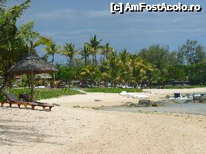 [P33]  -- <small>// FĂRĂ DESCRIERE</small> » foto by danadineata
 - 
<span class="allrVoted glyphicon glyphicon-heart hidden" id="av486017"></span>
<a class="m-l-10 hidden" id="sv486017" onclick="voting_Foto_DelVot(,486017,15822)" role="button">șterge vot <span class="glyphicon glyphicon-remove"></span></a>
<a id="v9486017" class=" c-red"  onclick="voting_Foto_SetVot(486017)" role="button"><span class="glyphicon glyphicon-heart-empty"></span> <b>LIKE</b> = Votează poza</a> <img class="hidden"  id="f486017W9" src="/imagini/loader.gif" border="0" /><span class="AjErrMes hidden" id="e486017ErM"></span>