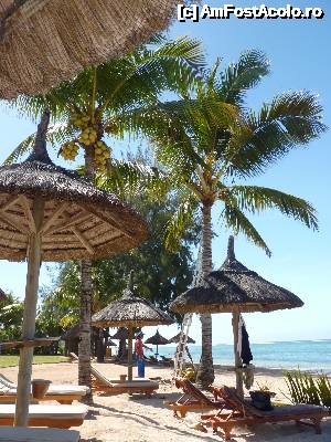 [P37]  -- <small>// FĂRĂ DESCRIERE</small> » foto by danadineata
 - 
<span class="allrVoted glyphicon glyphicon-heart hidden" id="av486022"></span>
<a class="m-l-10 hidden" id="sv486022" onclick="voting_Foto_DelVot(,486022,15822)" role="button">șterge vot <span class="glyphicon glyphicon-remove"></span></a>
<a id="v9486022" class=" c-red"  onclick="voting_Foto_SetVot(486022)" role="button"><span class="glyphicon glyphicon-heart-empty"></span> <b>LIKE</b> = Votează poza</a> <img class="hidden"  id="f486022W9" src="/imagini/loader.gif" border="0" /><span class="AjErrMes hidden" id="e486022ErM"></span>