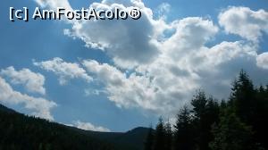 [P03]  -- <small>// FĂRĂ DESCRIERE</small> » foto by ojitos
 - 
<span class="allrVoted glyphicon glyphicon-heart hidden" id="av785204"></span>
<a class="m-l-10 hidden" id="sv785204" onclick="voting_Foto_DelVot(,785204,15876)" role="button">șterge vot <span class="glyphicon glyphicon-remove"></span></a>
<a id="v9785204" class=" c-red"  onclick="voting_Foto_SetVot(785204)" role="button"><span class="glyphicon glyphicon-heart-empty"></span> <b>LIKE</b> = Votează poza</a> <img class="hidden"  id="f785204W9" src="/imagini/loader.gif" border="0" /><span class="AjErrMes hidden" id="e785204ErM"></span>