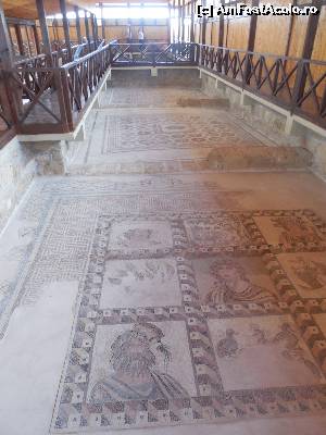[P08] Mozaicuri in casa lui Dionisos » foto by valileau
 - 
<span class="allrVoted glyphicon glyphicon-heart hidden" id="av580070"></span>
<a class="m-l-10 hidden" id="sv580070" onclick="voting_Foto_DelVot(,580070,16131)" role="button">șterge vot <span class="glyphicon glyphicon-remove"></span></a>
<a id="v9580070" class=" c-red"  onclick="voting_Foto_SetVot(580070)" role="button"><span class="glyphicon glyphicon-heart-empty"></span> <b>LIKE</b> = Votează poza</a> <img class="hidden"  id="f580070W9" src="/imagini/loader.gif" border="0" /><span class="AjErrMes hidden" id="e580070ErM"></span>