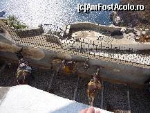 [P21] Magarusii sunt gata sa va duca in port.Dar ce miros. » foto by octaviansz
 - 
<span class="allrVoted glyphicon glyphicon-heart hidden" id="av149794"></span>
<a class="m-l-10 hidden" id="sv149794" onclick="voting_Foto_DelVot(,149794,16213)" role="button">șterge vot <span class="glyphicon glyphicon-remove"></span></a>
<a id="v9149794" class=" c-red"  onclick="voting_Foto_SetVot(149794)" role="button"><span class="glyphicon glyphicon-heart-empty"></span> <b>LIKE</b> = Votează poza</a> <img class="hidden"  id="f149794W9" src="/imagini/loader.gif" border="0" /><span class="AjErrMes hidden" id="e149794ErM"></span>