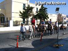 [P05] Plimbare cu magarusii in Fira » foto by voiajor
 - 
<span class="allrVoted glyphicon glyphicon-heart hidden" id="av261587"></span>
<a class="m-l-10 hidden" id="sv261587" onclick="voting_Foto_DelVot(,261587,16213)" role="button">șterge vot <span class="glyphicon glyphicon-remove"></span></a>
<a id="v9261587" class=" c-red"  onclick="voting_Foto_SetVot(261587)" role="button"><span class="glyphicon glyphicon-heart-empty"></span> <b>LIKE</b> = Votează poza</a> <img class="hidden"  id="f261587W9" src="/imagini/loader.gif" border="0" /><span class="AjErrMes hidden" id="e261587ErM"></span>