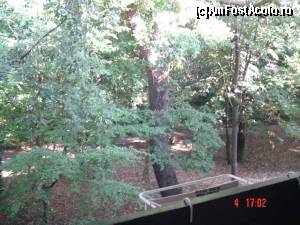 [P05] Vedere din balcon spre padurea exterioara » foto by dorinakiss
 - 
<span class="allrVoted glyphicon glyphicon-heart hidden" id="av654834"></span>
<a class="m-l-10 hidden" id="sv654834" onclick="voting_Foto_DelVot(,654834,16233)" role="button">șterge vot <span class="glyphicon glyphicon-remove"></span></a>
<a id="v9654834" class=" c-red"  onclick="voting_Foto_SetVot(654834)" role="button"><span class="glyphicon glyphicon-heart-empty"></span> <b>LIKE</b> = Votează poza</a> <img class="hidden"  id="f654834W9" src="/imagini/loader.gif" border="0" /><span class="AjErrMes hidden" id="e654834ErM"></span>