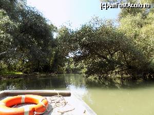 [P15] Dunarea Veche (canalul Ocolitor) 5 - face legatura intre bratul Sulina si canalul Sontea si trece prin spatele pensiunii. Din el se poate intra pe canalul Cranjala ce duce in lacul Furtuna.  » foto by buddy_cool74
 - 
<span class="allrVoted glyphicon glyphicon-heart hidden" id="av670637"></span>
<a class="m-l-10 hidden" id="sv670637" onclick="voting_Foto_DelVot(,670637,16334)" role="button">șterge vot <span class="glyphicon glyphicon-remove"></span></a>
<a id="v9670637" class=" c-red"  onclick="voting_Foto_SetVot(670637)" role="button"><span class="glyphicon glyphicon-heart-empty"></span> <b>LIKE</b> = Votează poza</a> <img class="hidden"  id="f670637W9" src="/imagini/loader.gif" border="0" /><span class="AjErrMes hidden" id="e670637ErM"></span>