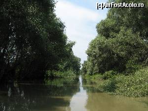[P15] canal » foto by mihaela morar
 - 
<span class="allrVoted glyphicon glyphicon-heart hidden" id="av645328"></span>
<a class="m-l-10 hidden" id="sv645328" onclick="voting_Foto_DelVot(,645328,16334)" role="button">șterge vot <span class="glyphicon glyphicon-remove"></span></a>
<a id="v9645328" class=" c-red"  onclick="voting_Foto_SetVot(645328)" role="button"><span class="glyphicon glyphicon-heart-empty"></span> <b>LIKE</b> = Votează poza</a> <img class="hidden"  id="f645328W9" src="/imagini/loader.gif" border="0" /><span class="AjErrMes hidden" id="e645328ErM"></span>