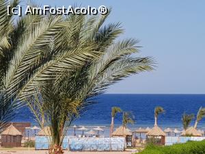 P40 [MAY-2021] Rixos Sharm - O alegere excelentă - plaja şi marea