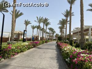 P06 [MAY-2021] Rixos Sharm - O alegere excelentă - aleea de promenadă a resortului