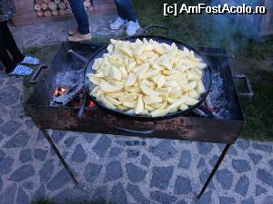 [P24] Cartofii 'la disc'...  » foto by ariciu*
 - 
<span class="allrVoted glyphicon glyphicon-heart hidden" id="av515822"></span>
<a class="m-l-10 hidden" id="sv515822" onclick="voting_Foto_DelVot(,515822,16584)" role="button">șterge vot <span class="glyphicon glyphicon-remove"></span></a>
<a id="v9515822" class=" c-red"  onclick="voting_Foto_SetVot(515822)" role="button"><span class="glyphicon glyphicon-heart-empty"></span> <b>LIKE</b> = Votează poza</a> <img class="hidden"  id="f515822W9" src="/imagini/loader.gif" border="0" /><span class="AjErrMes hidden" id="e515822ErM"></span>