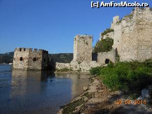 [P01] Cetatea Golubac - Turnul octogonal inundat de apele Dunării.  » foto by iulianic
 - 
<span class="allrVoted glyphicon glyphicon-heart hidden" id="av551584"></span>
<a class="m-l-10 hidden" id="sv551584" onclick="voting_Foto_DelVot(,551584,16590)" role="button">șterge vot <span class="glyphicon glyphicon-remove"></span></a>
<a id="v9551584" class=" c-red"  onclick="voting_Foto_SetVot(551584)" role="button"><span class="glyphicon glyphicon-heart-empty"></span> <b>LIKE</b> = Votează poza</a> <img class="hidden"  id="f551584W9" src="/imagini/loader.gif" border="0" /><span class="AjErrMes hidden" id="e551584ErM"></span>