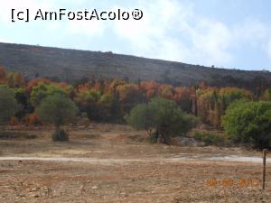 [P29] Zakynthos - Urmele incendiului din august 2017.  » foto by iulianic
 - 
<span class="allrVoted glyphicon glyphicon-heart hidden" id="av909579"></span>
<a class="m-l-10 hidden" id="sv909579" onclick="voting_Foto_DelVot(,909579,16617)" role="button">șterge vot <span class="glyphicon glyphicon-remove"></span></a>
<a id="v9909579" class=" c-red"  onclick="voting_Foto_SetVot(909579)" role="button"><span class="glyphicon glyphicon-heart-empty"></span> <b>LIKE</b> = Votează poza</a> <img class="hidden"  id="f909579W9" src="/imagini/loader.gif" border="0" /><span class="AjErrMes hidden" id="e909579ErM"></span>