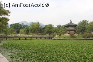 [P05] Seoul, Palatul Gyeongbok, Podul spre Pavilionul Hyangwon peste iazul cu nuferi » foto by mprofeanu
 - 
<span class="allrVoted glyphicon glyphicon-heart hidden" id="av791197"></span>
<a class="m-l-10 hidden" id="sv791197" onclick="voting_Foto_DelVot(,791197,16707)" role="button">șterge vot <span class="glyphicon glyphicon-remove"></span></a>
<a id="v9791197" class=" c-red"  onclick="voting_Foto_SetVot(791197)" role="button"><span class="glyphicon glyphicon-heart-empty"></span> <b>LIKE</b> = Votează poza</a> <img class="hidden"  id="f791197W9" src="/imagini/loader.gif" border="0" /><span class="AjErrMes hidden" id="e791197ErM"></span>