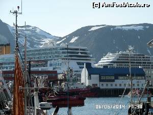 [P183] Aglomerație » foto by Alina53
 - 
<span class="allrVoted glyphicon glyphicon-heart hidden" id="av523936"></span>
<a class="m-l-10 hidden" id="sv523936" onclick="voting_Foto_DelVot(,523936,16750)" role="button">șterge vot <span class="glyphicon glyphicon-remove"></span></a>
<a id="v9523936" class=" c-red"  onclick="voting_Foto_SetVot(523936)" role="button"><span class="glyphicon glyphicon-heart-empty"></span> <b>LIKE</b> = Votează poza</a> <img class="hidden"  id="f523936W9" src="/imagini/loader.gif" border="0" /><span class="AjErrMes hidden" id="e523936ErM"></span>