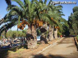 [P02] aleea de la plaja plina de palmieri » foto by gabitu67dica
 - 
<span class="allrVoted glyphicon glyphicon-heart hidden" id="av663998"></span>
<a class="m-l-10 hidden" id="sv663998" onclick="voting_Foto_DelVot(,663998,16766)" role="button">șterge vot <span class="glyphicon glyphicon-remove"></span></a>
<a id="v9663998" class=" c-red"  onclick="voting_Foto_SetVot(663998)" role="button"><span class="glyphicon glyphicon-heart-empty"></span> <b>LIKE</b> = Votează poza</a> <img class="hidden"  id="f663998W9" src="/imagini/loader.gif" border="0" /><span class="AjErrMes hidden" id="e663998ErM"></span>