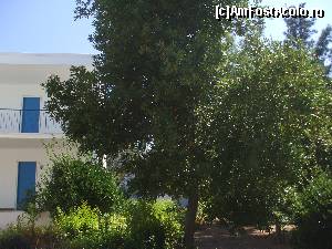 [P21] un dafin mare si bungalowul in spate » foto by gabitu67dica
 - 
<span class="allrVoted glyphicon glyphicon-heart hidden" id="av664025"></span>
<a class="m-l-10 hidden" id="sv664025" onclick="voting_Foto_DelVot(,664025,16766)" role="button">șterge vot <span class="glyphicon glyphicon-remove"></span></a>
<a id="v9664025" class=" c-red"  onclick="voting_Foto_SetVot(664025)" role="button"><span class="glyphicon glyphicon-heart-empty"></span> <b>LIKE</b> = Votează poza</a> <img class="hidden"  id="f664025W9" src="/imagini/loader.gif" border="0" /><span class="AjErrMes hidden" id="e664025ErM"></span>