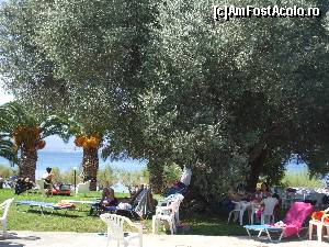 [P09] plaja de langa terasa » foto by gabitu67dica
 - 
<span class="allrVoted glyphicon glyphicon-heart hidden" id="av664008"></span>
<a class="m-l-10 hidden" id="sv664008" onclick="voting_Foto_DelVot(,664008,16766)" role="button">șterge vot <span class="glyphicon glyphicon-remove"></span></a>
<a id="v9664008" class=" c-red"  onclick="voting_Foto_SetVot(664008)" role="button"><span class="glyphicon glyphicon-heart-empty"></span> <b>LIKE</b> = Votează poza</a> <img class="hidden"  id="f664008W9" src="/imagini/loader.gif" border="0" /><span class="AjErrMes hidden" id="e664008ErM"></span>