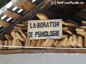[P10]  -- <small>// FĂRĂ DESCRIERE</small> » foto by wolf2001*
 - 
<span class="allrVoted glyphicon glyphicon-heart hidden" id="av532958"></span>
<a class="m-l-10 hidden" id="sv532958" onclick="voting_Foto_DelVot(,532958,16935)" role="button">șterge vot <span class="glyphicon glyphicon-remove"></span></a>
<a id="v9532958" class=" c-red"  onclick="voting_Foto_SetVot(532958)" role="button"><span class="glyphicon glyphicon-heart-empty"></span> <b>LIKE</b> = Votează poza</a> <img class="hidden"  id="f532958W9" src="/imagini/loader.gif" border="0" /><span class="AjErrMes hidden" id="e532958ErM"></span>
