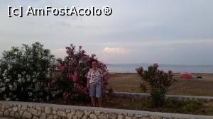 [P01] Pe faleza plina de leandri, in Nea Potidea » foto by mariga*
 - 
<span class="allrVoted glyphicon glyphicon-heart hidden" id="av1078350"></span>
<a class="m-l-10 hidden" id="sv1078350" onclick="voting_Foto_DelVot(,1078350,17244)" role="button">șterge vot <span class="glyphicon glyphicon-remove"></span></a>
<a id="v91078350" class=" c-red"  onclick="voting_Foto_SetVot(1078350)" role="button"><span class="glyphicon glyphicon-heart-empty"></span> <b>LIKE</b> = Votează poza</a> <img class="hidden"  id="f1078350W9" src="/imagini/loader.gif" border="0" /><span class="AjErrMes hidden" id="e1078350ErM"></span>