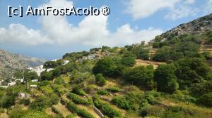 [P11] Terase cultivate - Naxos, în drum spre satul Koronas » foto by Carmen Ion
 - 
<span class="allrVoted glyphicon glyphicon-heart hidden" id="av1420362"></span>
<a class="m-l-10 hidden" id="sv1420362" onclick="voting_Foto_DelVot(,1420362,17461)" role="button">șterge vot <span class="glyphicon glyphicon-remove"></span></a>
<a id="v91420362" class=" c-red"  onclick="voting_Foto_SetVot(1420362)" role="button"><span class="glyphicon glyphicon-heart-empty"></span> <b>LIKE</b> = Votează poza</a> <img class="hidden"  id="f1420362W9" src="/imagini/loader.gif" border="0" /><span class="AjErrMes hidden" id="e1420362ErM"></span>