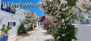[P53] Pyrgos, satul de marmură din Tinos » foto by irinad
 - 
<span class="allrVoted glyphicon glyphicon-heart hidden" id="av1454832"></span>
<a class="m-l-10 hidden" id="sv1454832" onclick="voting_Foto_DelVot(,1454832,17461)" role="button">șterge vot <span class="glyphicon glyphicon-remove"></span></a>
<a id="v91454832" class=" c-red"  onclick="voting_Foto_SetVot(1454832)" role="button"><span class="glyphicon glyphicon-heart-empty"></span> <b>LIKE</b> = Votează poza</a> <img class="hidden"  id="f1454832W9" src="/imagini/loader.gif" border="0" /><span class="AjErrMes hidden" id="e1454832ErM"></span>