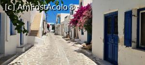 [P84] La pas prin Pounda, Antiparos » foto by irinad
 - 
<span class="allrVoted glyphicon glyphicon-heart hidden" id="av1526174"></span>
<a class="m-l-10 hidden" id="sv1526174" onclick="voting_Foto_DelVot(,1526174,17461)" role="button">șterge vot <span class="glyphicon glyphicon-remove"></span></a>
<a id="v91526174" class=" c-red"  onclick="voting_Foto_SetVot(1526174)" role="button"><span class="glyphicon glyphicon-heart-empty"></span> <b>LIKE</b> = Votează poza</a> <img class="hidden"  id="f1526174W9" src="/imagini/loader.gif" border="0" /><span class="AjErrMes hidden" id="e1526174ErM"></span>