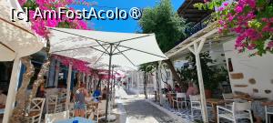 [P88] La pas prin Pounda, Antiparos » foto by irinad
 - 
<span class="allrVoted glyphicon glyphicon-heart hidden" id="av1526178"></span>
<a class="m-l-10 hidden" id="sv1526178" onclick="voting_Foto_DelVot(,1526178,17461)" role="button">șterge vot <span class="glyphicon glyphicon-remove"></span></a>
<a id="v91526178" class=" c-red"  onclick="voting_Foto_SetVot(1526178)" role="button"><span class="glyphicon glyphicon-heart-empty"></span> <b>LIKE</b> = Votează poza</a> <img class="hidden"  id="f1526178W9" src="/imagini/loader.gif" border="0" /><span class="AjErrMes hidden" id="e1526178ErM"></span>